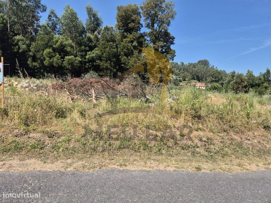Terreno amplo para construçao — São Roque, Aveiro