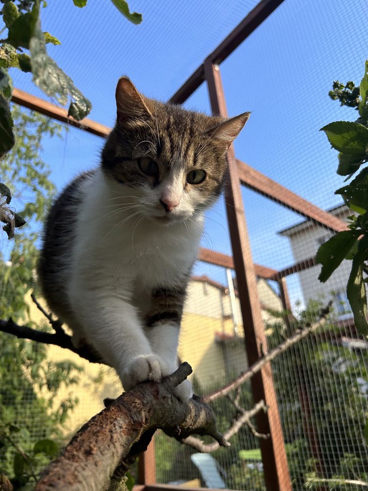 Potrzebuję pracy z człowiekiem, kto ją naprawi?…