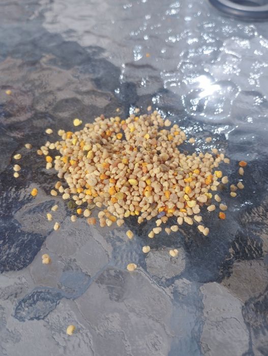 Pyłek pszczeli, kwiatowy, polski produkt