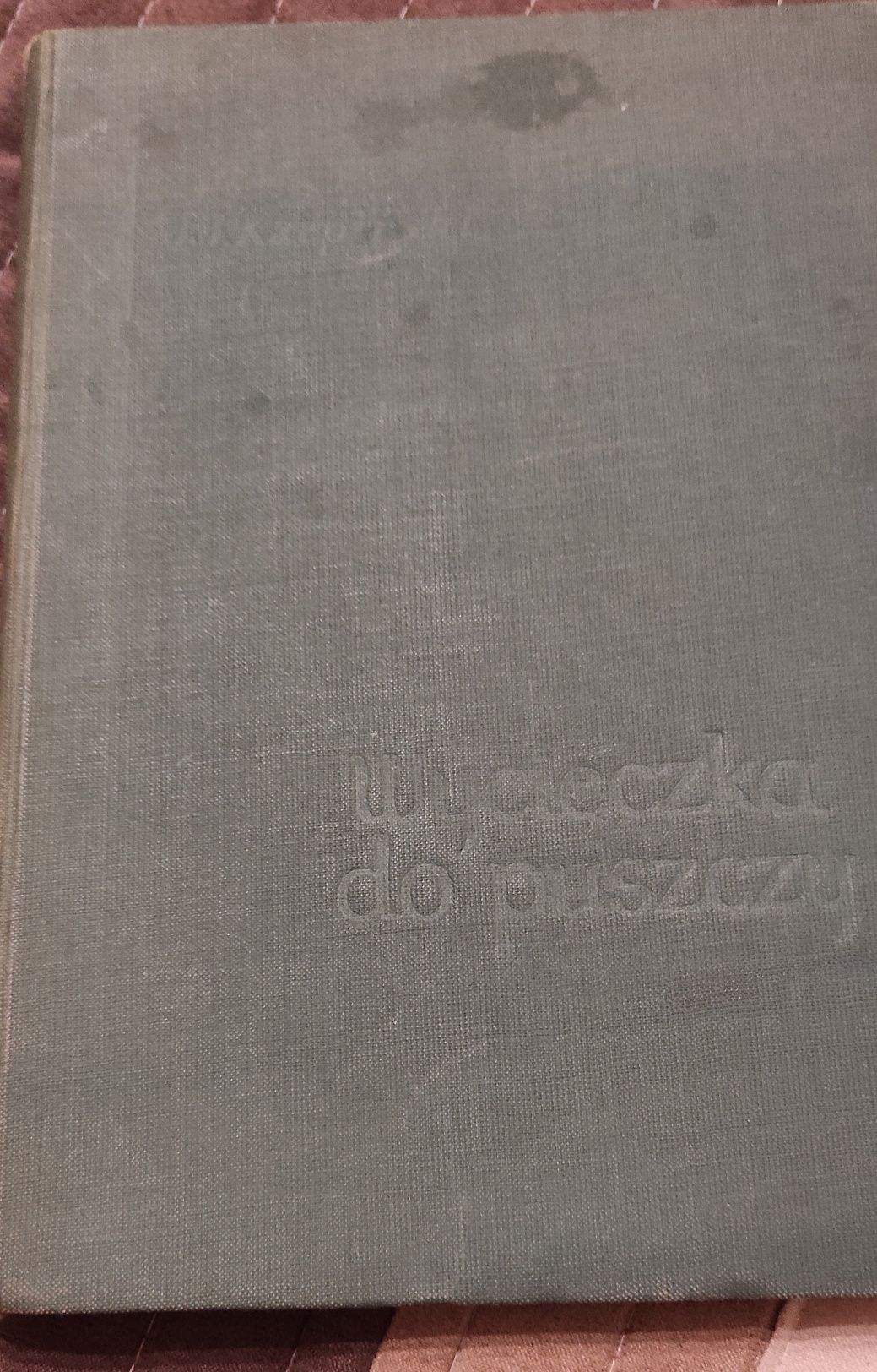 Wycieczka do puszczy  Jan Jerzy Karpiński