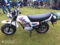 HONDA CY 50 CY50. Nie Dax, Monkey