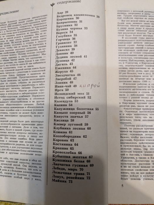 А.К. Кощеев Дикорастущие съедобные растения в нашем питании