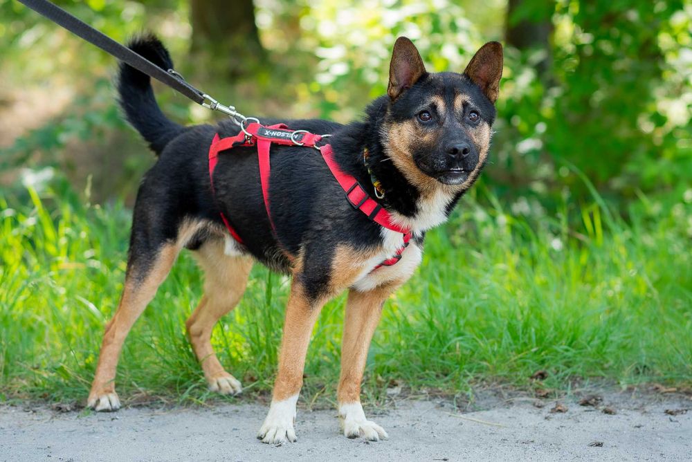 ARLO - pokochaj mnie mocno