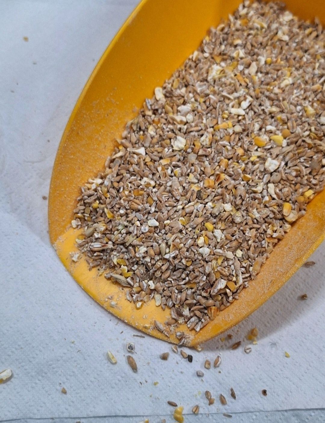 Naturalna Mieszanka Dla Kur Niosek 25kg BEZ GMO