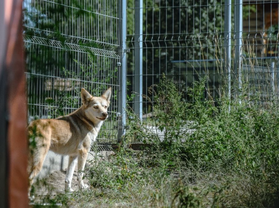 Krzywda człowieka zadała jej zbyt wielki cios…