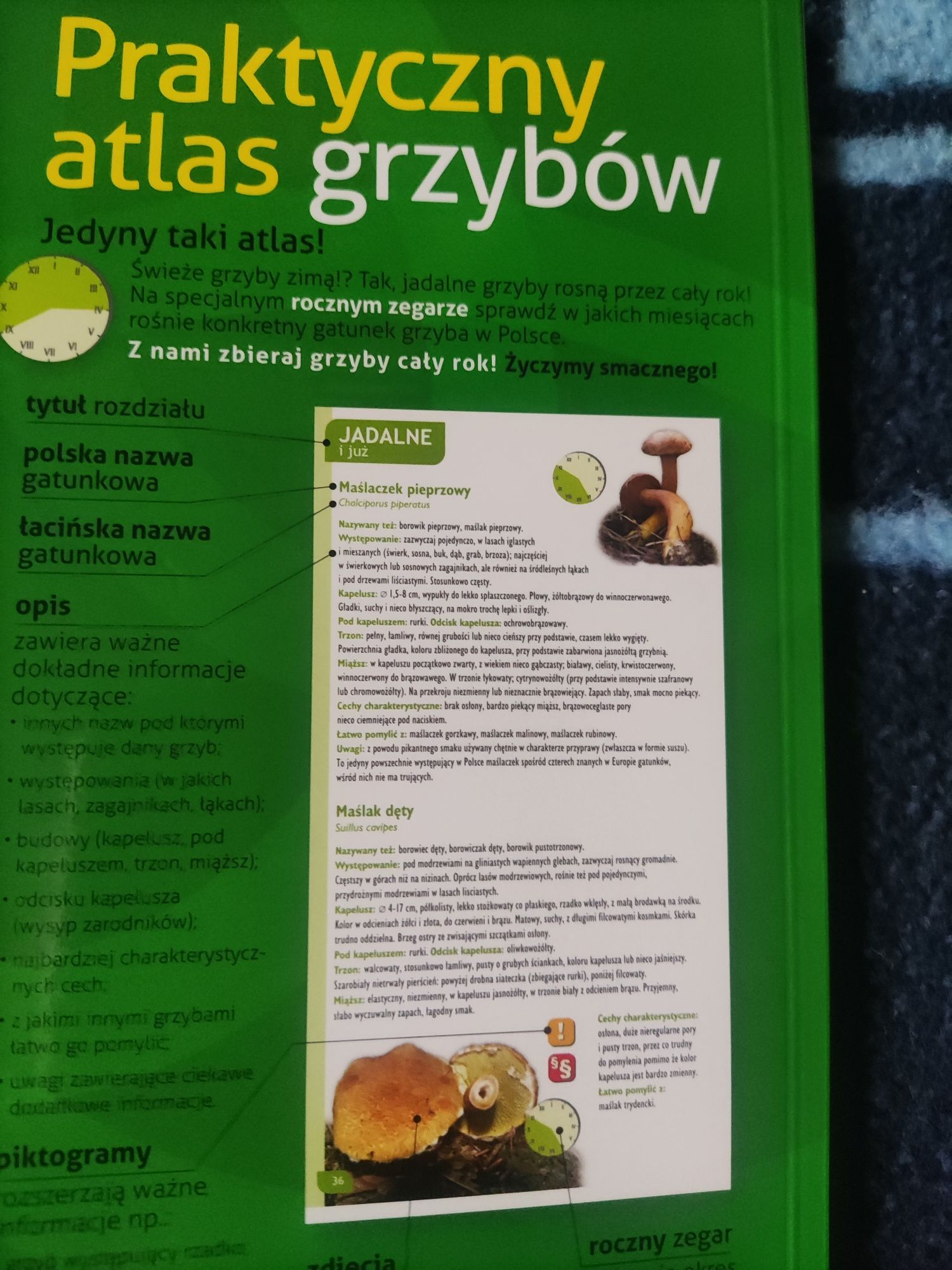 Atlas grzybów 200 zdjęć