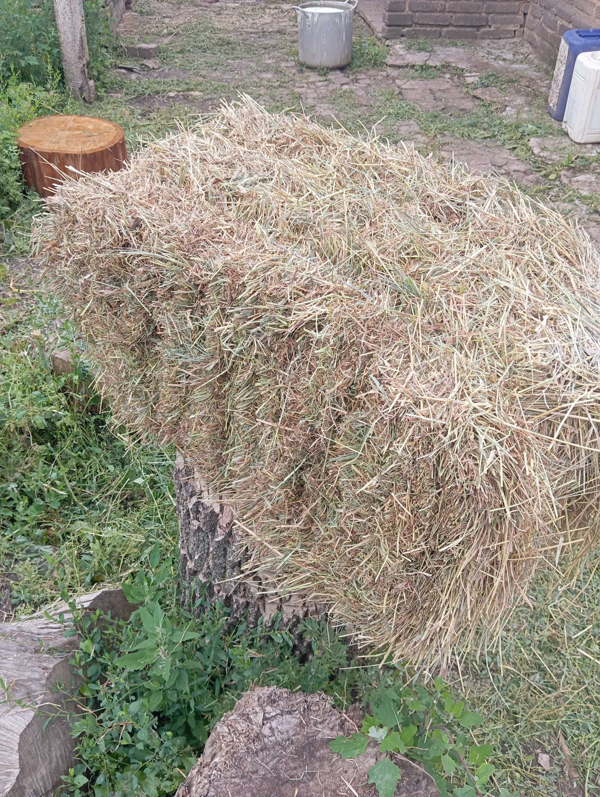 Сено луговое разно травие