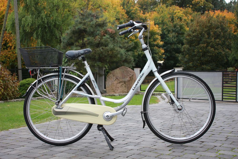 Rower Gazelle Bloom 28"