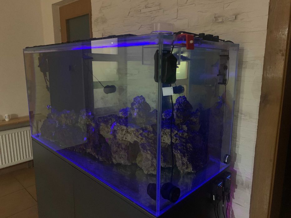 Akwarium morskie 500l optiwhite, szafka, sump, lampy, full osprzęt