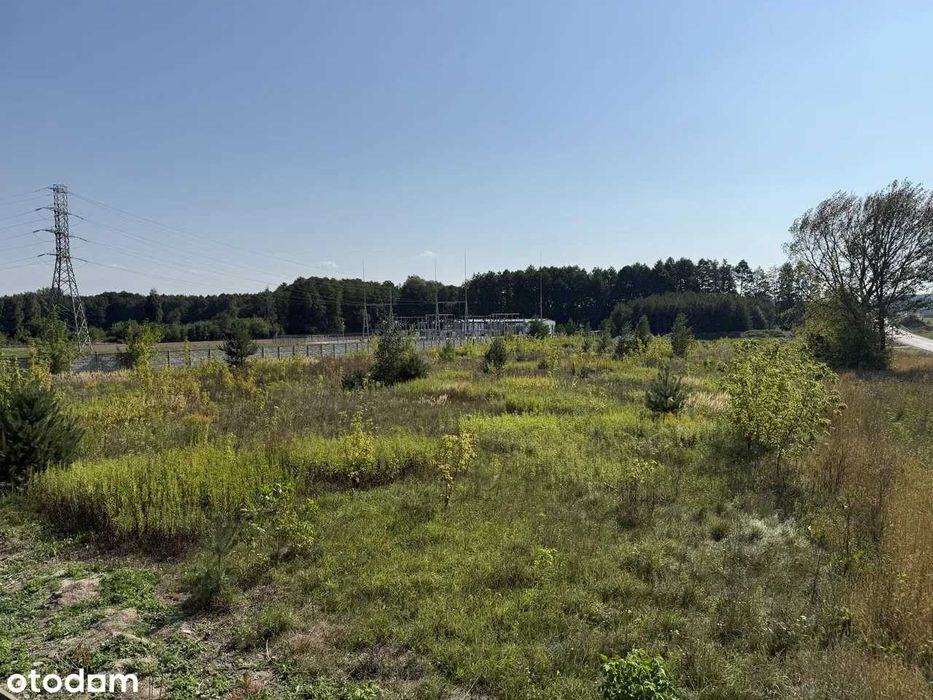 Działka inwestycyjna + zabudowa mieszkaniowa trasa S7 Załuski 7195 m2