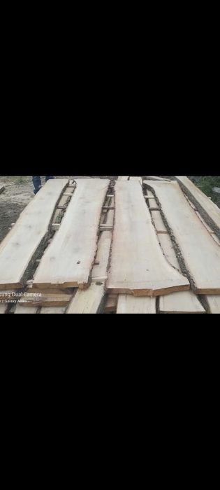 Dąb wiąz bale na schody stoły ławki