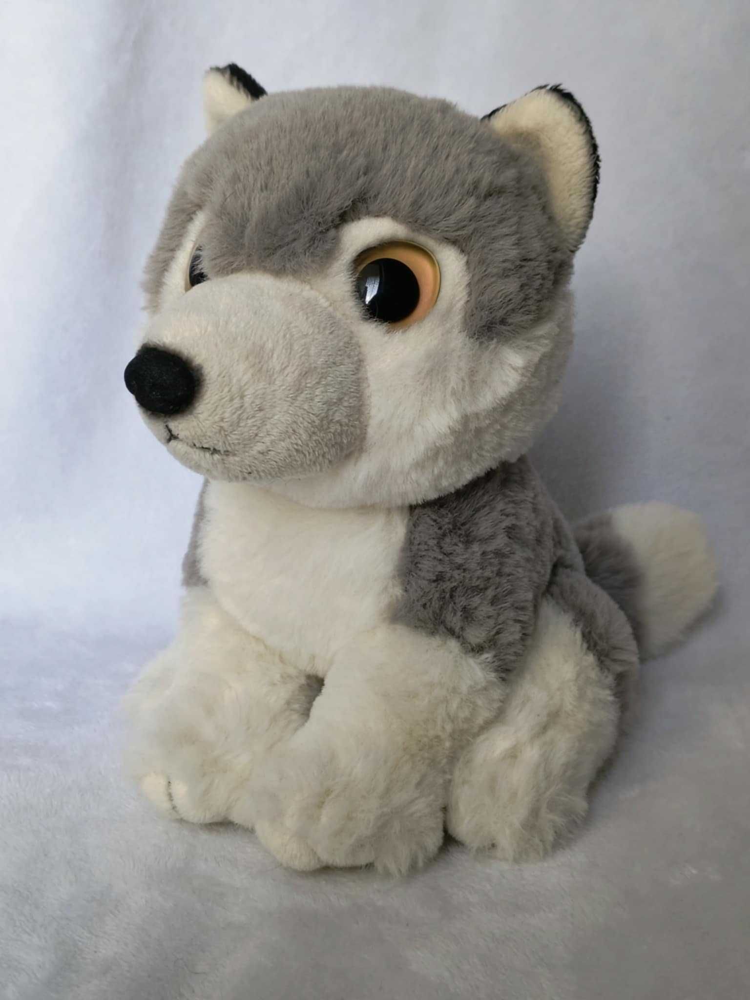 Maskotka z dużymi oczami piesek pies wilk szary Nature Planet husky