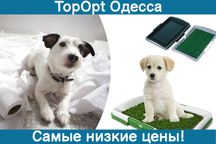 Домашній привчаючий туалет для собак кішок трава для цуценят Puppy Pad