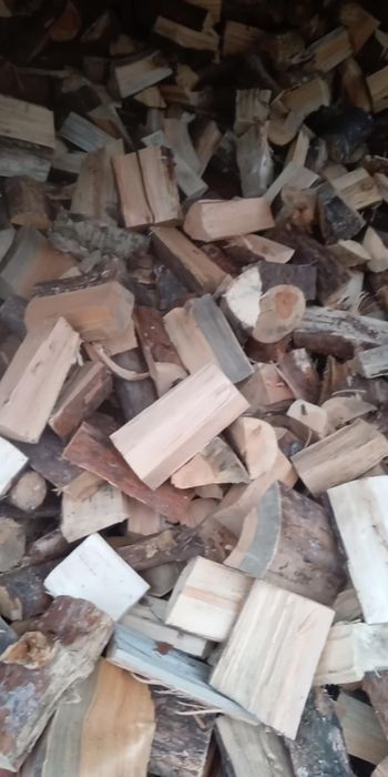 Drzewo opałowe super cena