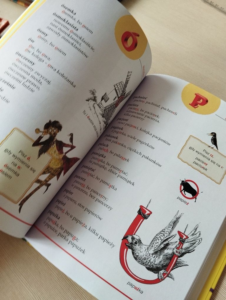 Nowy ilustrowany słownik ortograficzny dla klas I-VI
