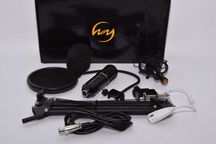 Конденсаторний мікрофон ZINGYOU BM-800 (Black/Gold)
