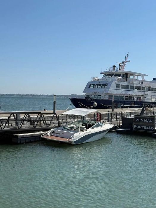 Sea Ray 220