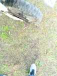 Urgente, 3 motas.                      2xHonda crm 125. +1x mini quad.