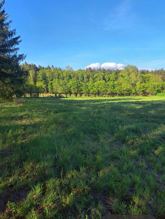 Działka Rolna Szczecin Płonia