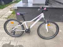 Rower Kross Lea 1.0