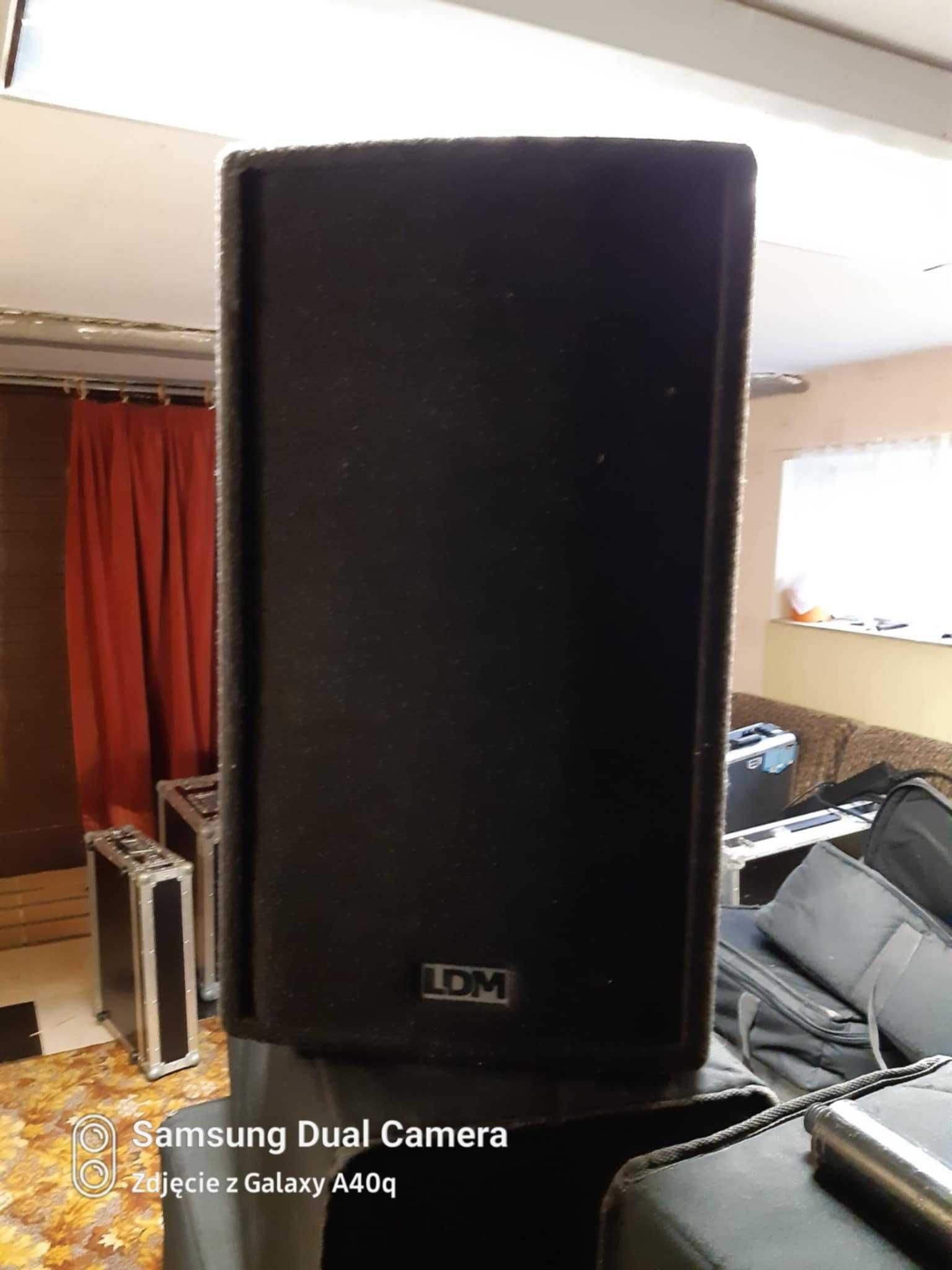 Kolumny LDM PYP 312  pasywne  - 2szt.