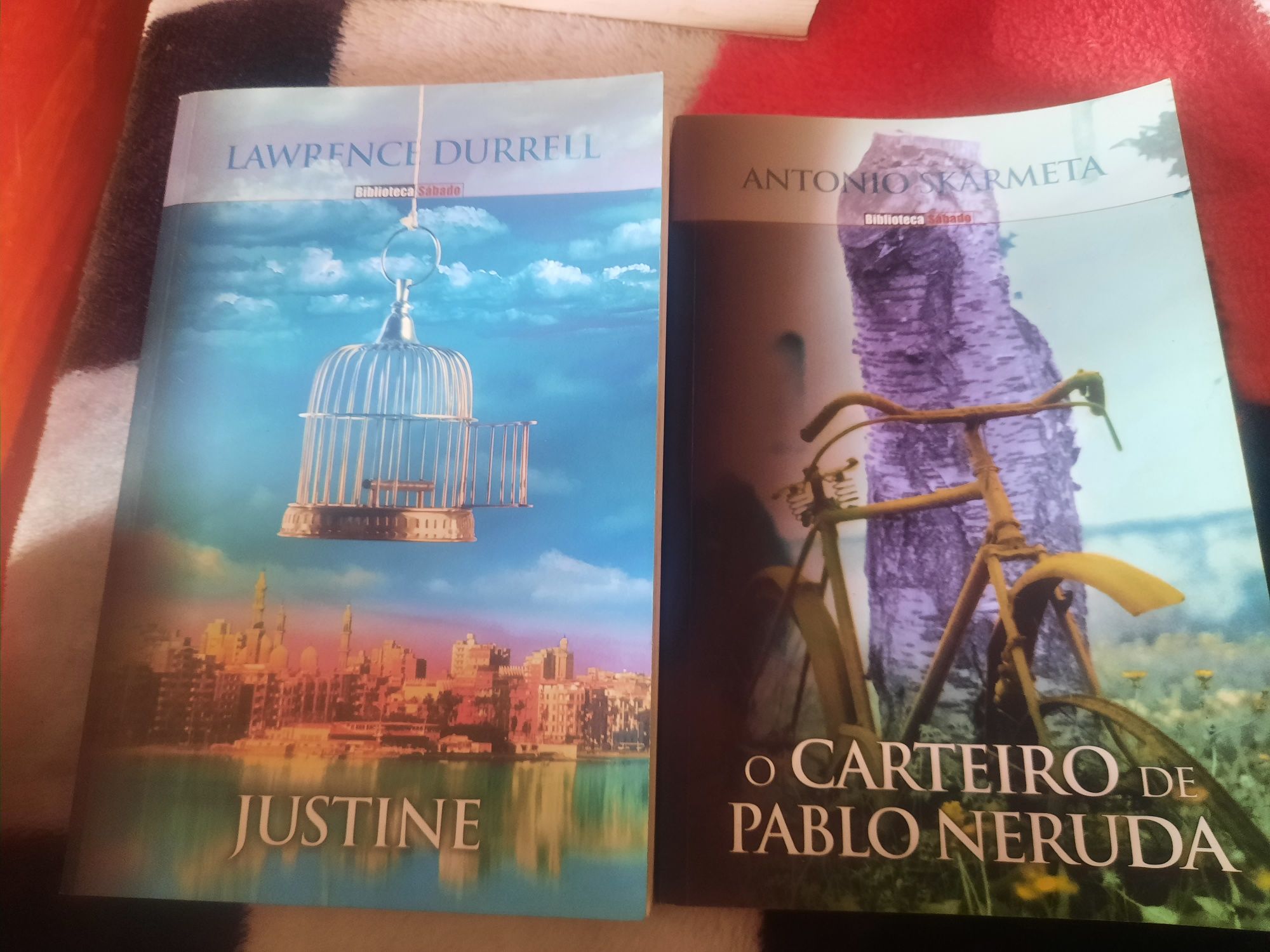 Dois livros em excelente estado