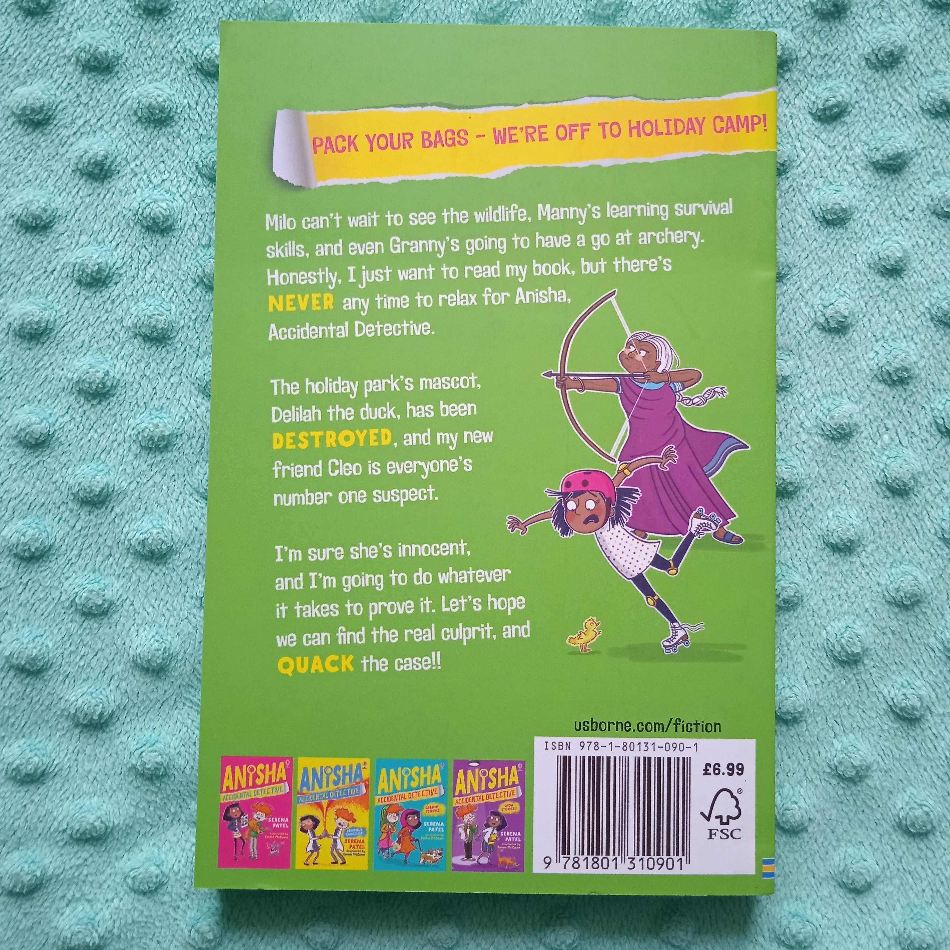 Anisha Accidental Detective Holiday Adventure Usborne