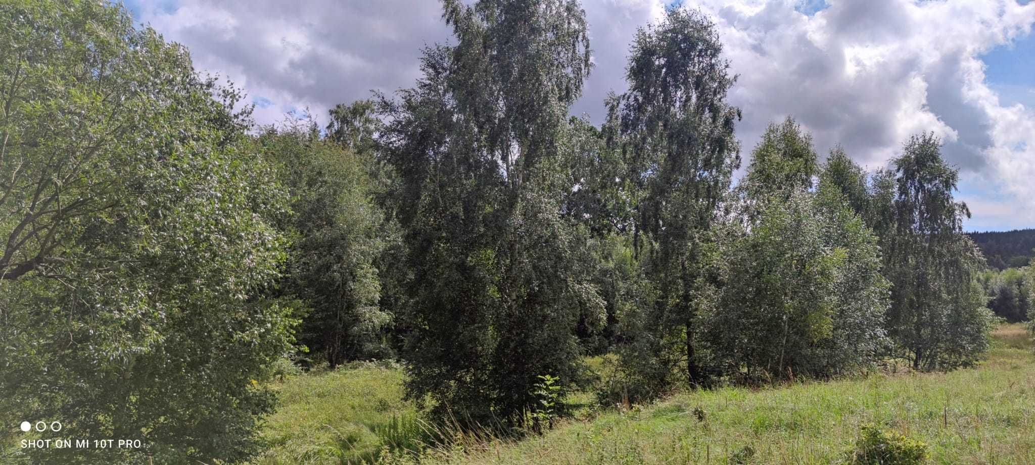 Sprzedam działki w górach