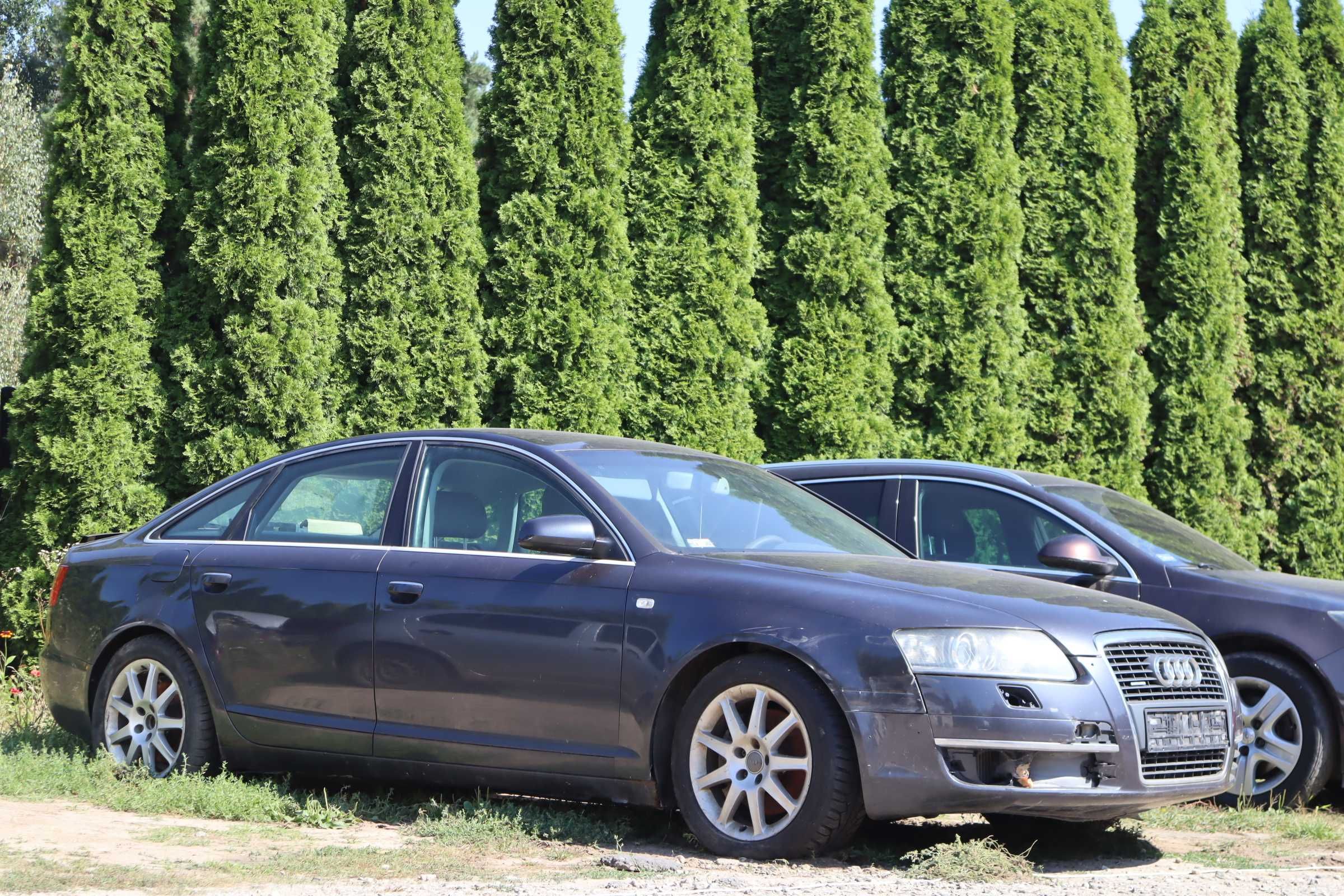 Audi A6 C6 2004r. 3,0 Diesel BLK QUATTRO LZQ7 Sedan