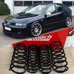 Molas Eibach Pro KIt Seat Leon 1M