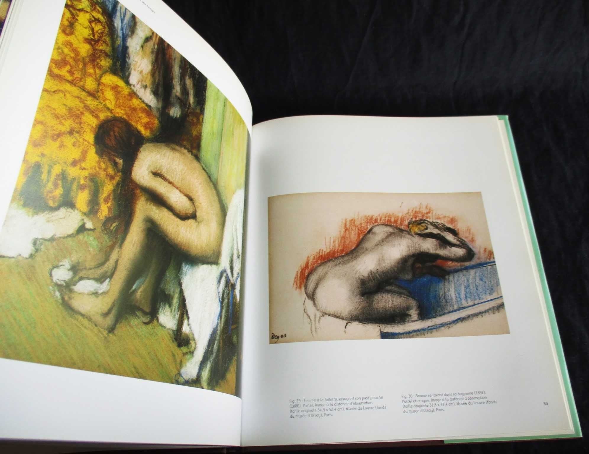 Livro La Vision de Degas Michael F. Marmor Somogy