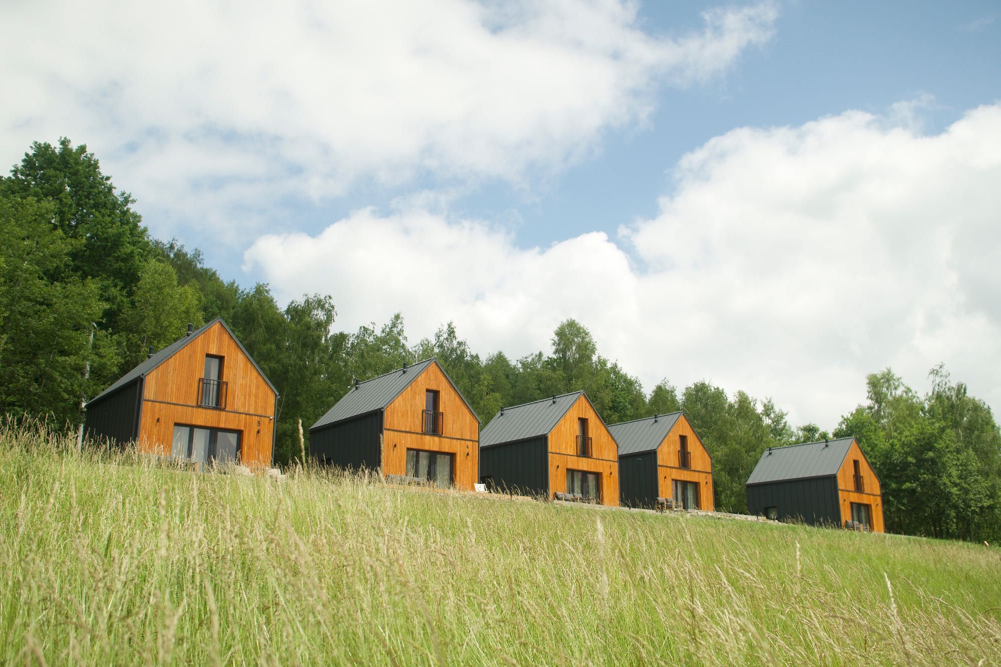 Domki letniskowe W Sam Las Lubenia Forest Spa