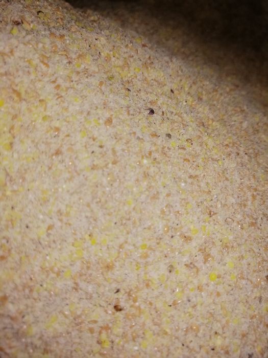 pasza mielona ,śruta paszowa dla bydła świń gęsi mix pasza otręby