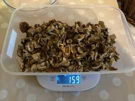 Suszone grzyby - borowik szlachetny – PRAWDZIWKI - 159 gramów.