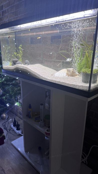 Aquário Aqualantis Explorer