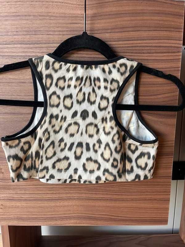 Conjunto da Roberto Cavalli