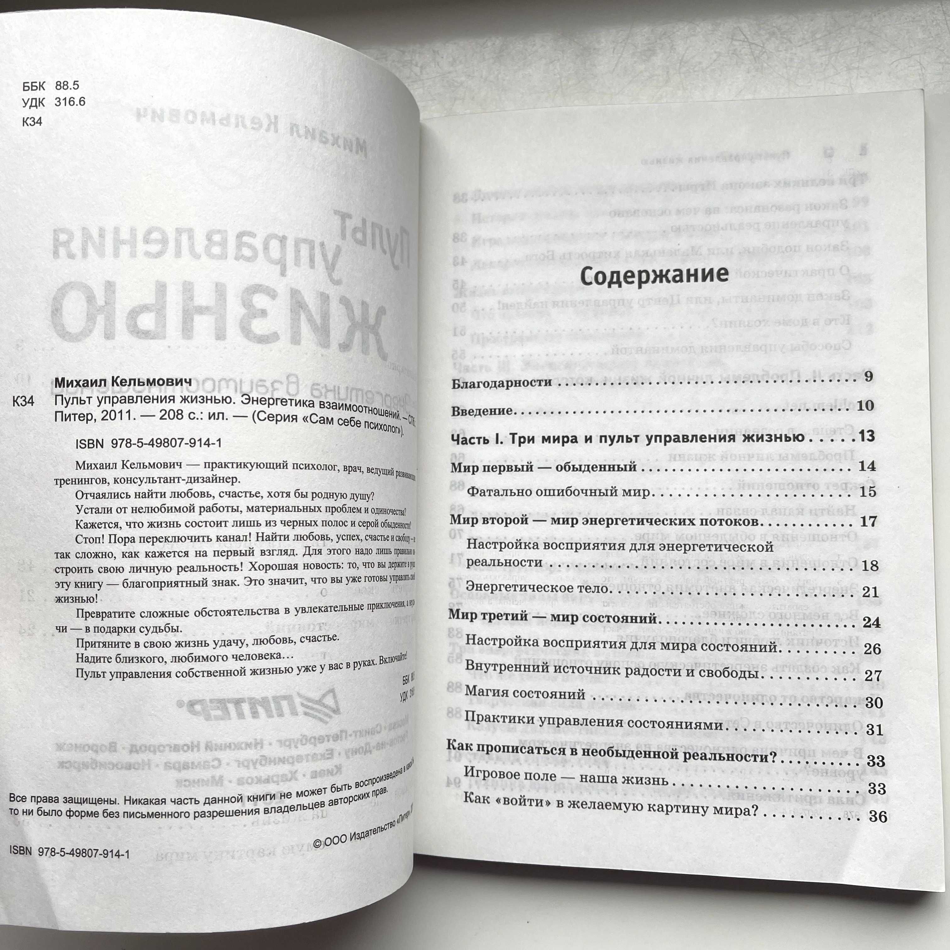 Пульт управления жизнью. Энергетика взаимоотношений. Михаил Кельмович