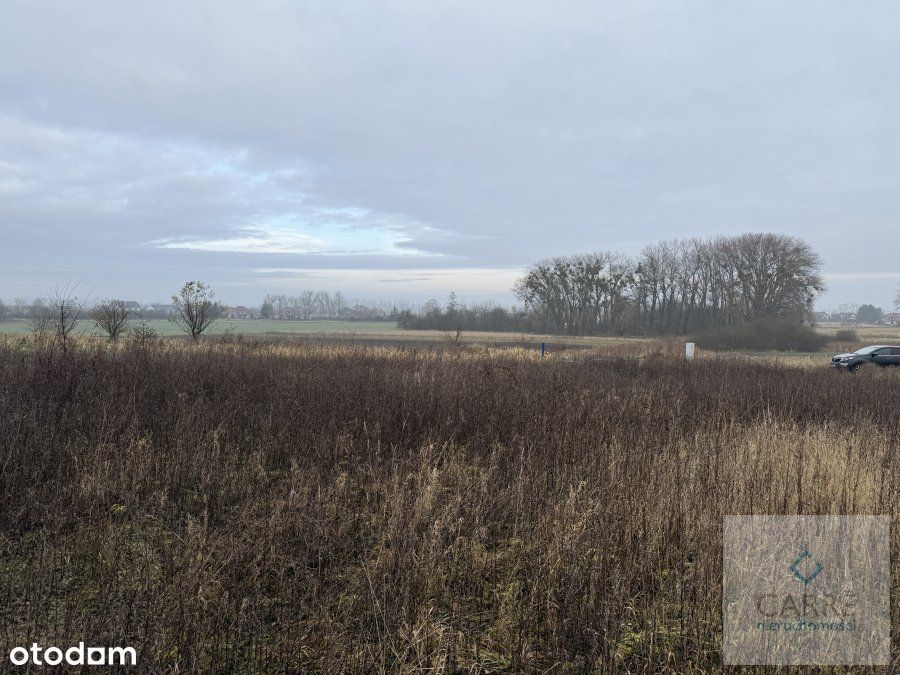 Działka w Warzymicach.