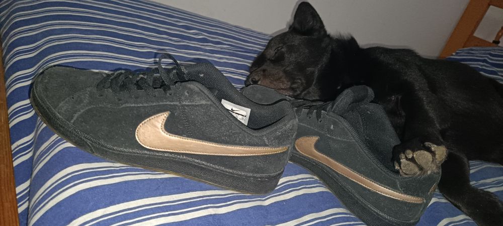 Tenis marca Nike