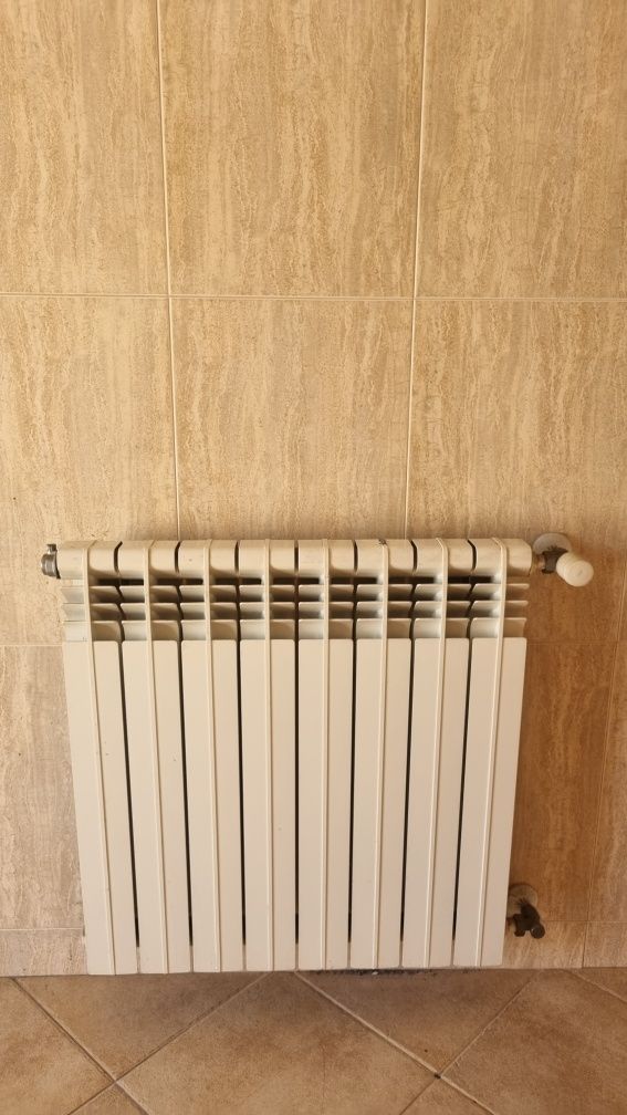 Conjunto de caldeira e 7 radiadores