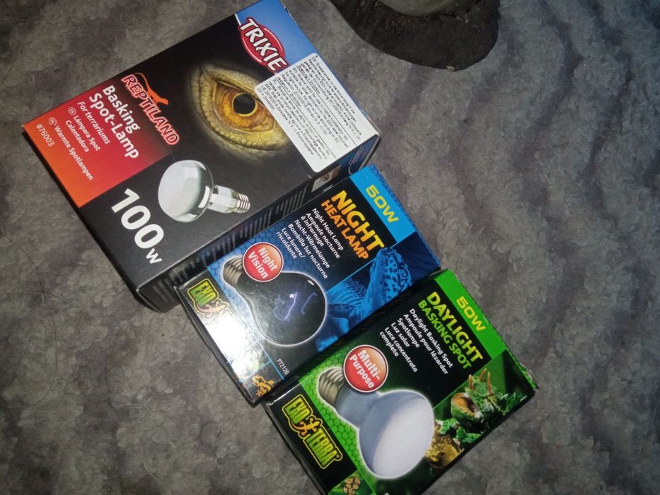 Żarówki do terrarium
