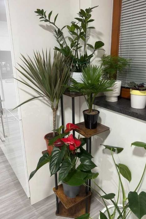 Kwietnik duży stojący na kwiaty rośliny 5 poziomów