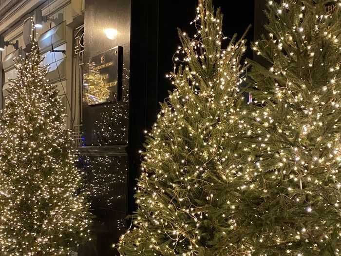 Є ОПТ ДРОП! Гірлянда Хвойна лапа. Зелений провід. З пультом керування.