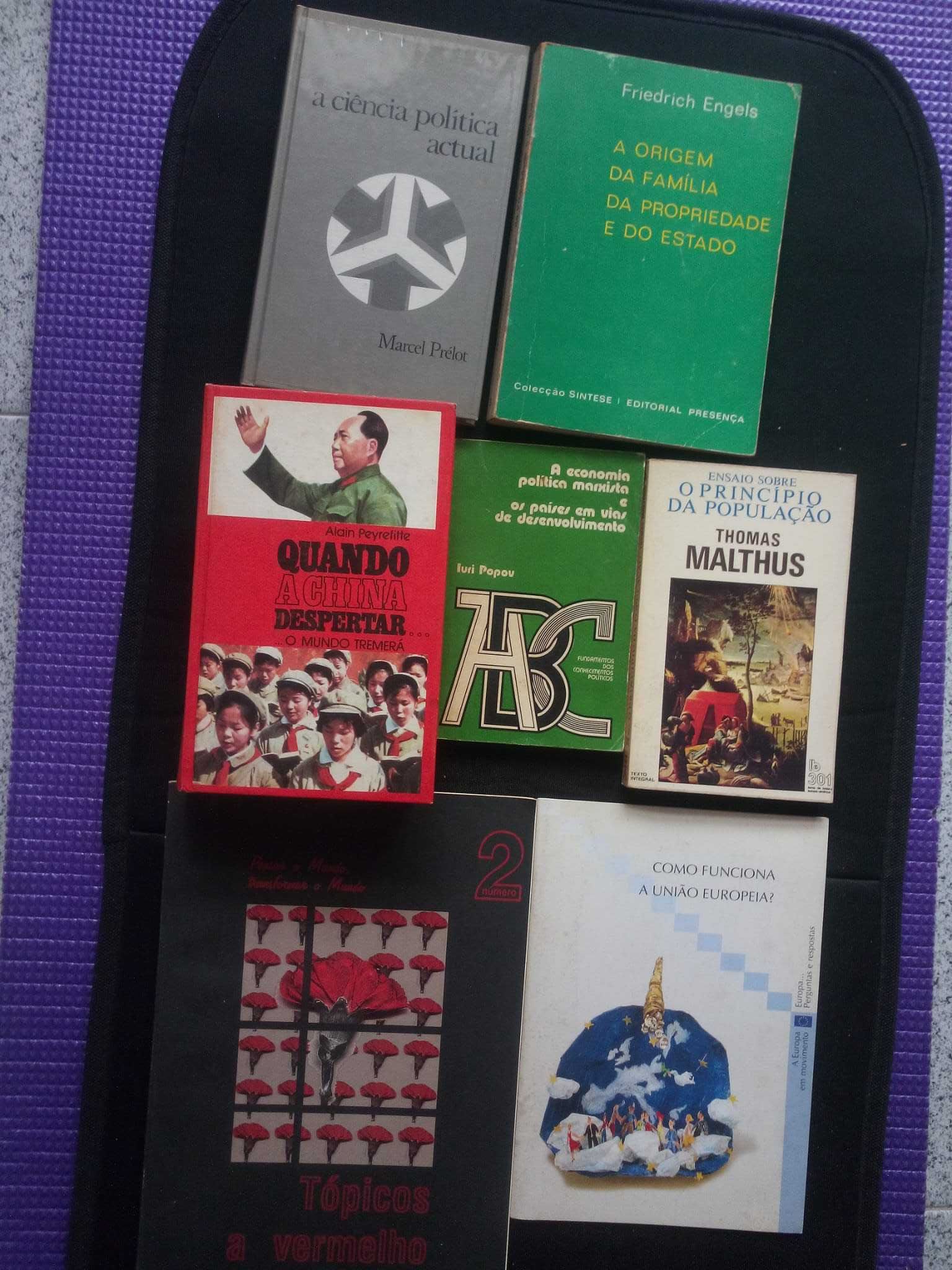 Conjunto livros ciencias politicas Comunismo Marxismo Uniao Europeia