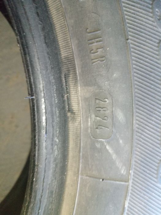 Opony zimowe Dębica