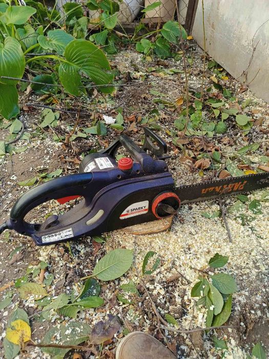 Спіл та розспил дерев