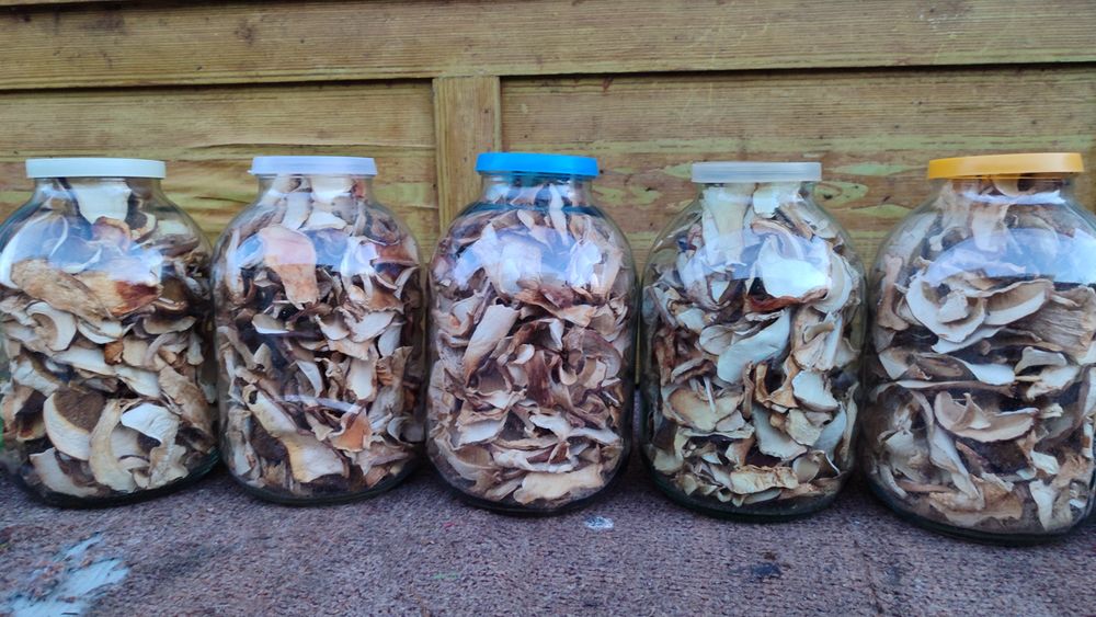 Сушені білі гриби