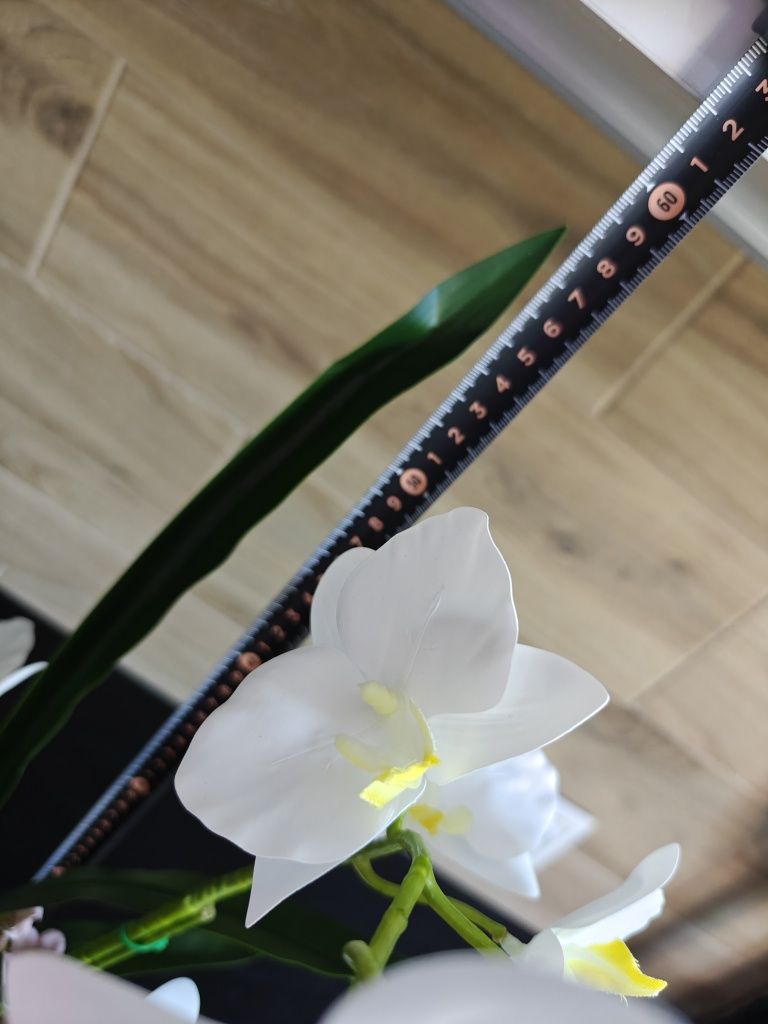 Sztuczny storczyk orchidea w czarnej ceramicznej doniczce