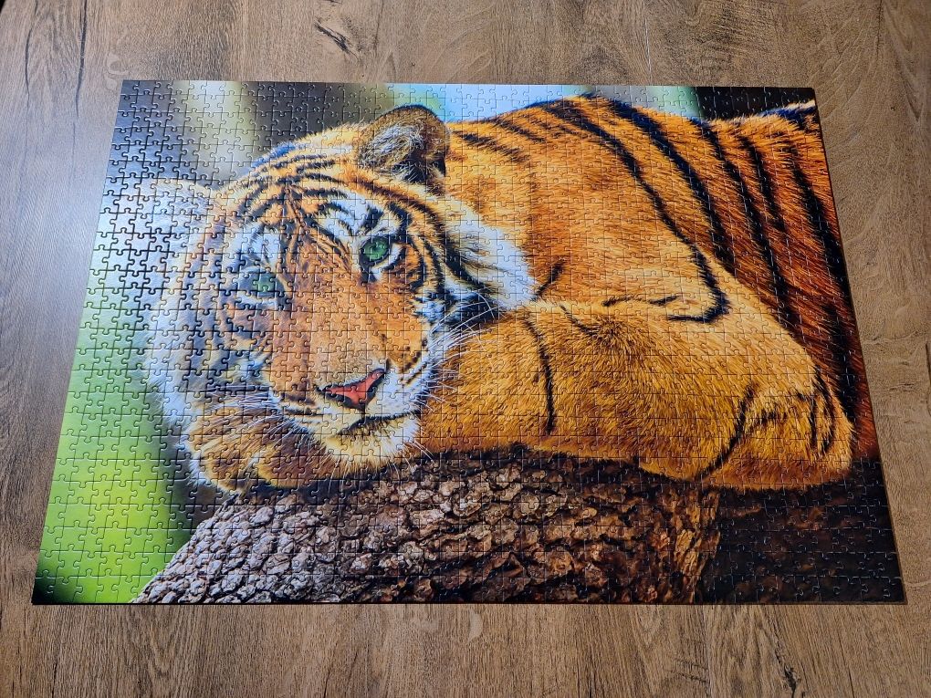 Puzzle tygrys 1066 sztuk