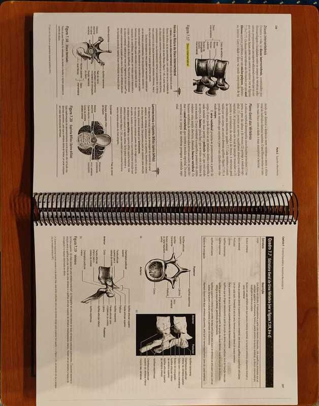 Livro Anatomia & Fisiologia- Seeley